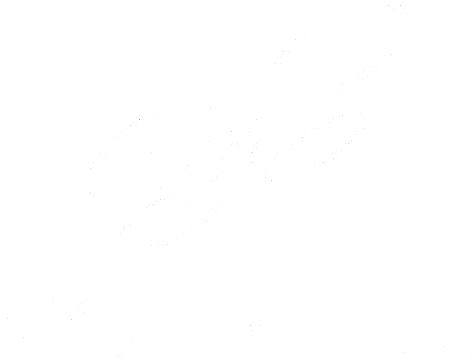 Volatus